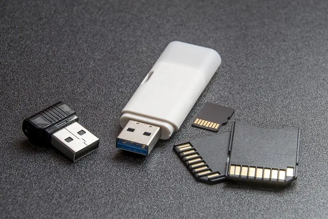 Storage devices prepared for professional data recovery